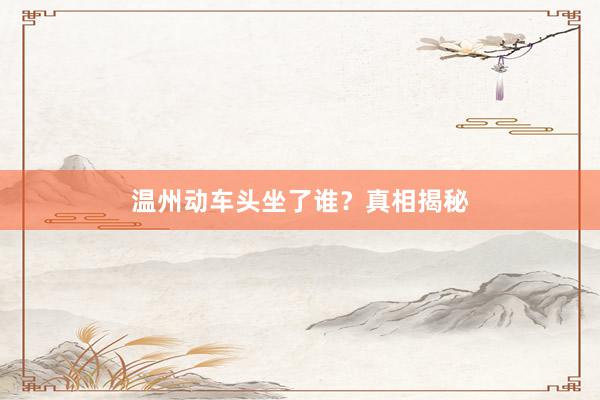 温州动车头坐了谁?真相揭秘