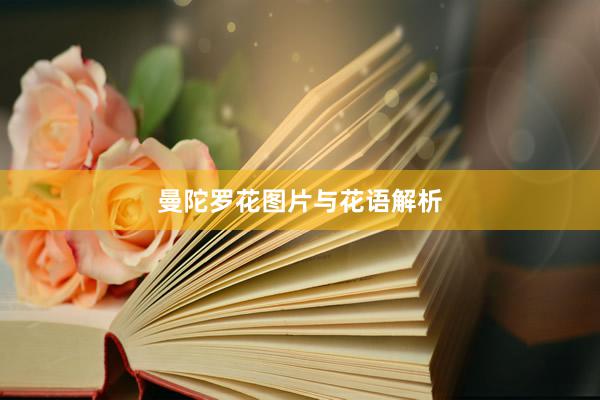 曼陀罗花图片与花语解析