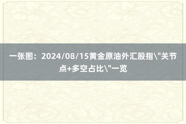一张图：2024/08/15黄金原油外汇股指