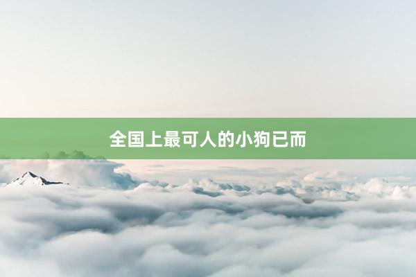 全国上最可人的小狗已而
