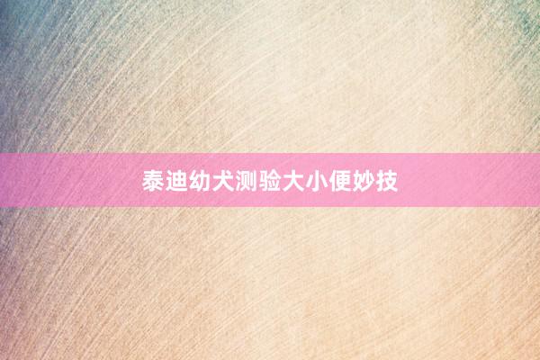 泰迪幼犬测验大小便妙技