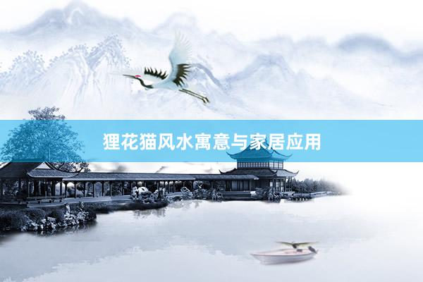 狸花猫风水寓意与家居应用